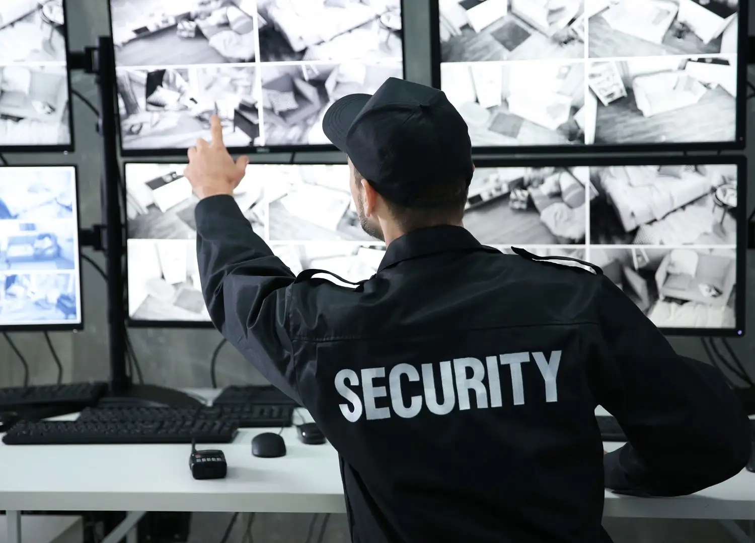 Security Systems and Services