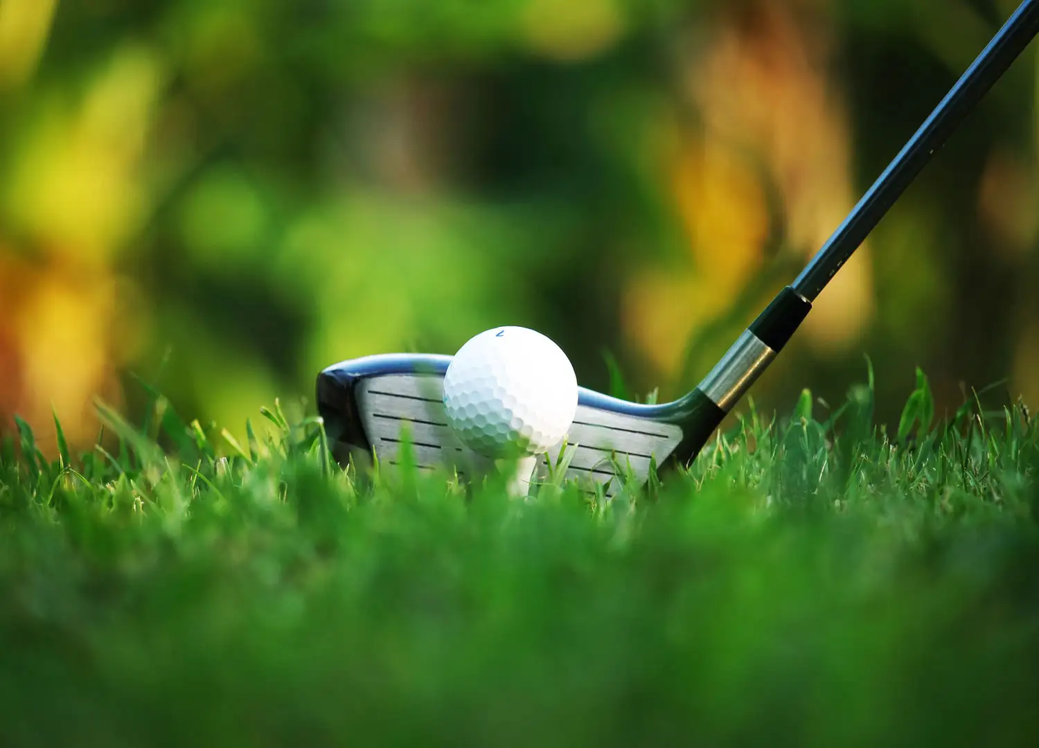 Sports and Recreation